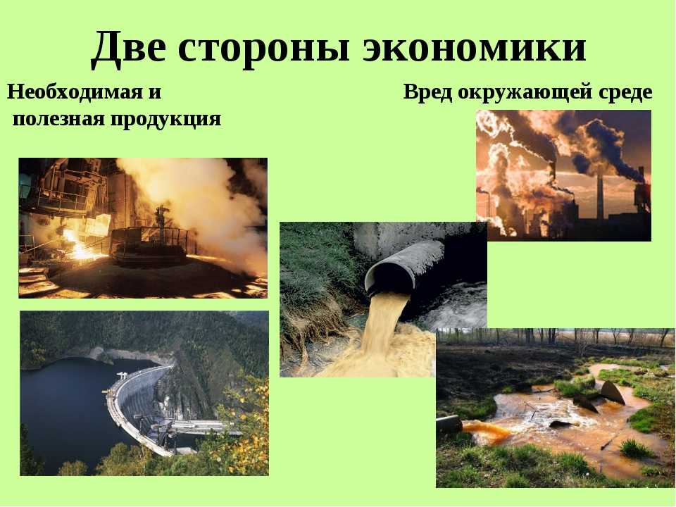 Экология россии: текущая ситуация, основные проблемы и пути решения