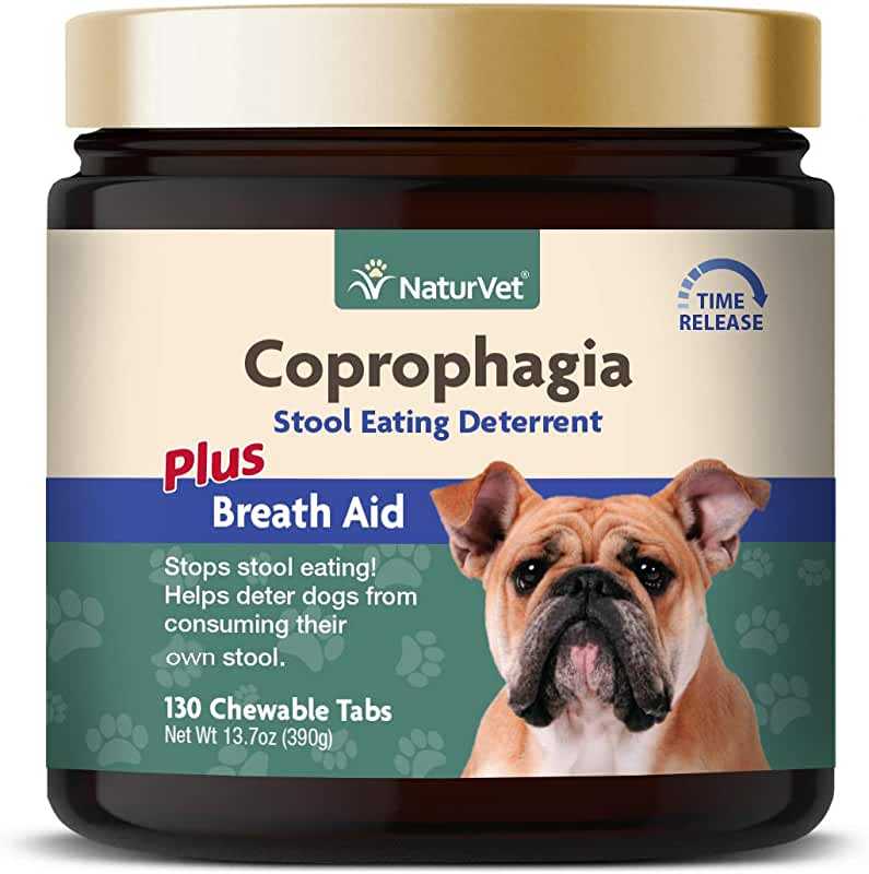 Копрофагия у собак: причины, таблетки, витамины
