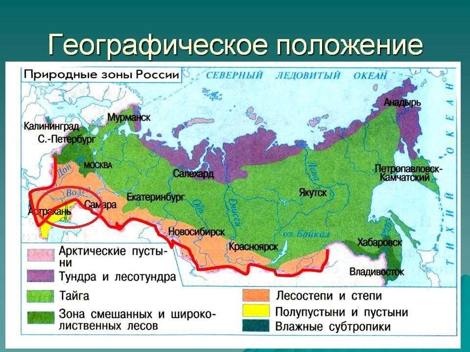 Природные зоны россии (4 класс, окружающий мир) | докладики