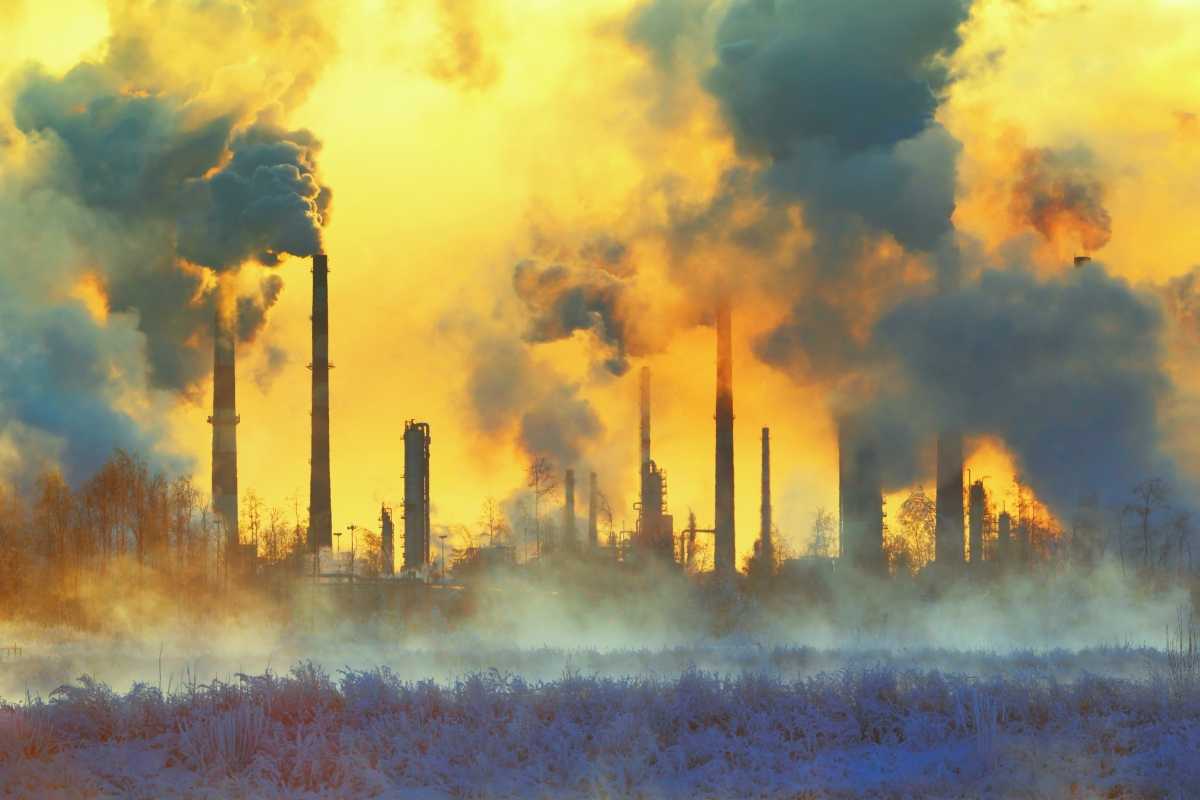 Загрязнение и охрана окружающей среды: понятия и пути решения проблемы