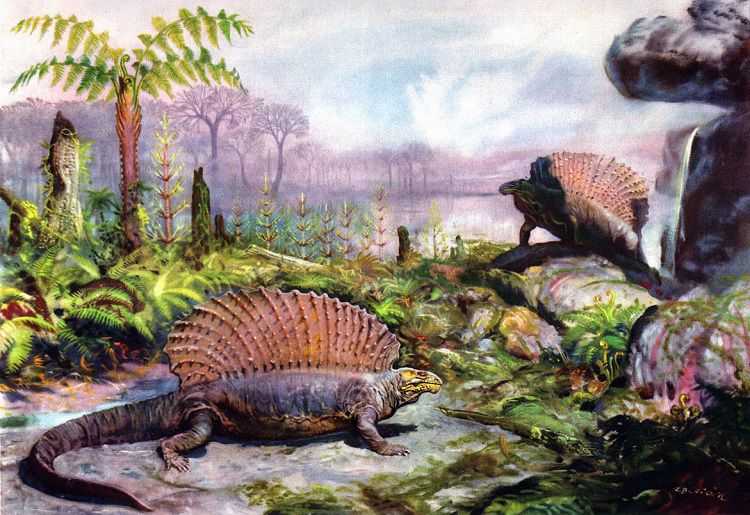 Характеристика девонского периода (419 - 359 млн лет назад)