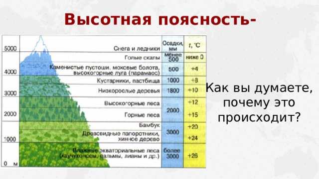 Природная зона россии области высотной поясности. Высотная поясность географический пояс. Высотная поясность климатический пояс. Высотная поясность таблица природные зоны. Природные зоны ВЫСОТНОЙ поясности.