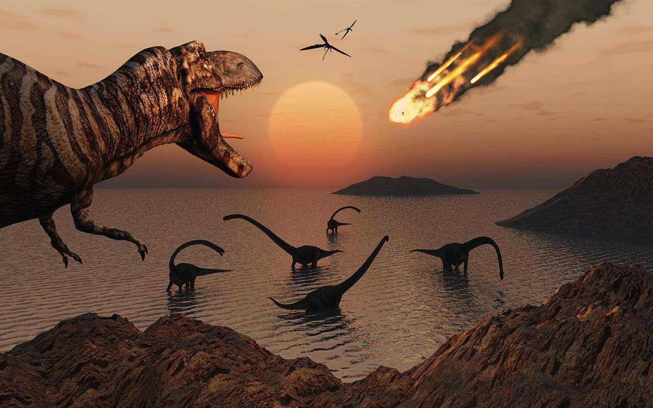 Как появились динозавры: история возникновения и интересные факты - gkd.ru