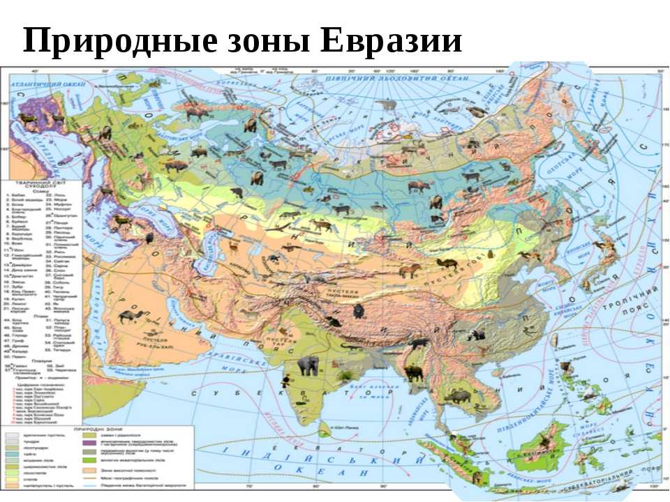 Природные зоны евразии 4 класс. Природные зоны Евразии 7 класс география. Природные зоны материка Евразия. Природные зонвевразии карта. Карта природных зон Евразии.
