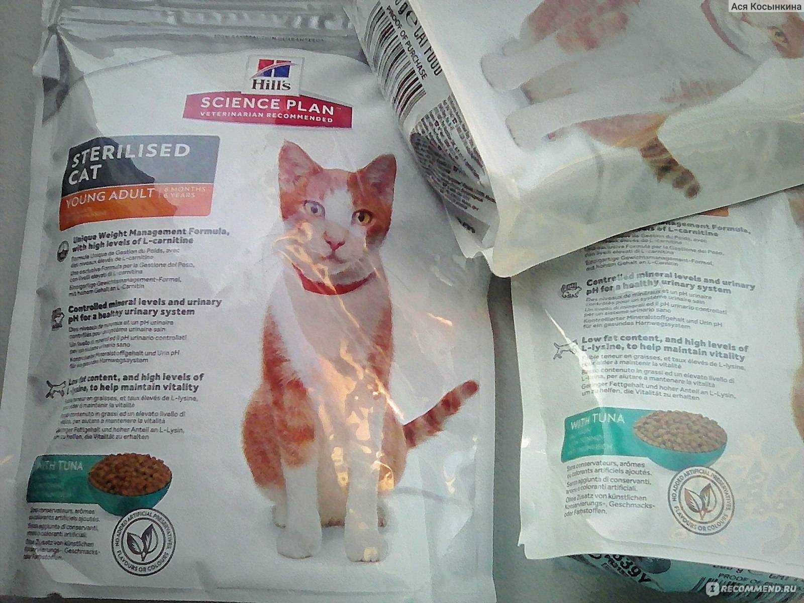 Вреден ли сухой корм для кошек: отзывы ветеринаров.