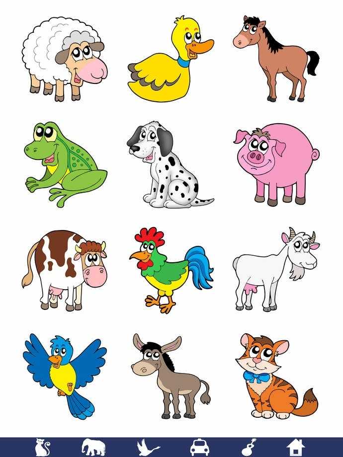 Домашние животные картинки для детей, карточкиamelica
