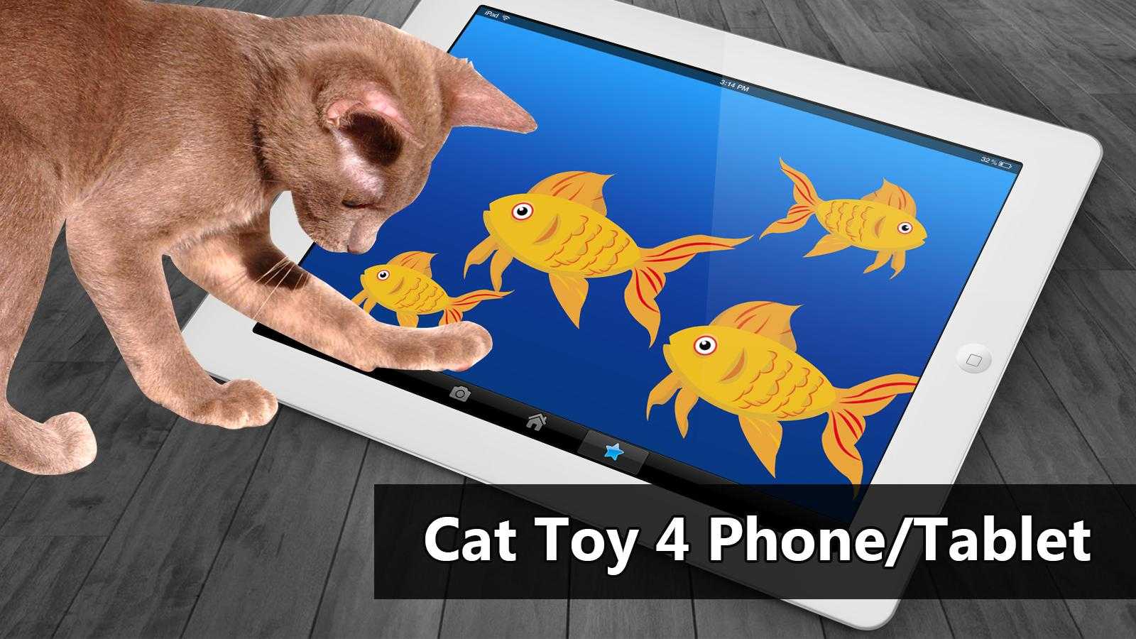 10 лучших игр для кошек на android и для фанатов кошек