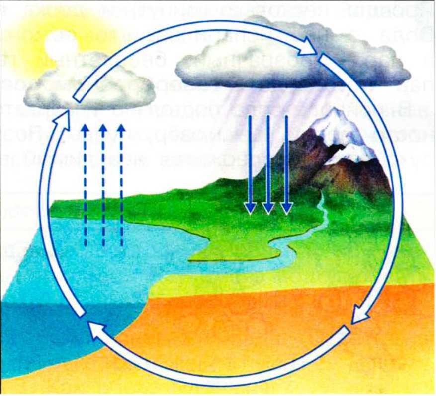 Круговорот воды в природе: этапы и схема гидрологического цикла, схематический рисунок испарения | tvercult.ru