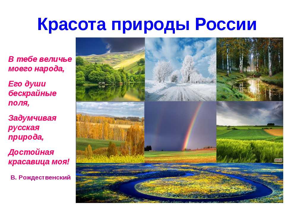 Проект моя родина 4 класс презентация. Природа для презентации. Проект на тему природа. Проект на тему природа России. Презентация на тему природа.