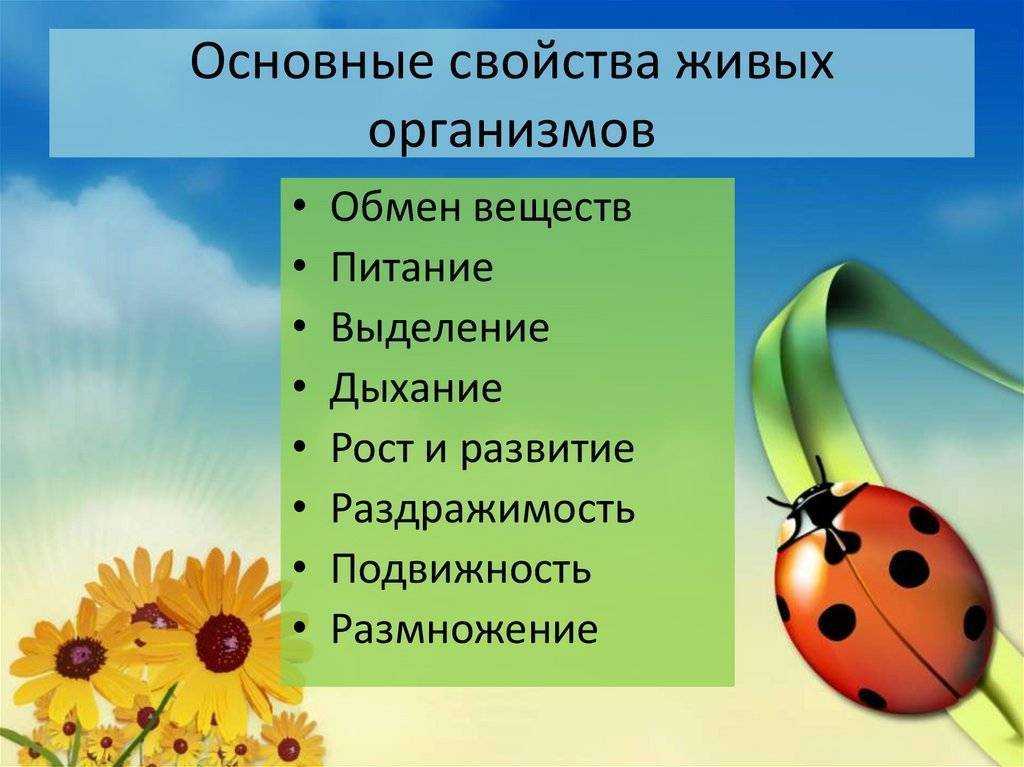 Что такое живой организм биология 5 класс. таблица живых организмов. * vsetemi.ru