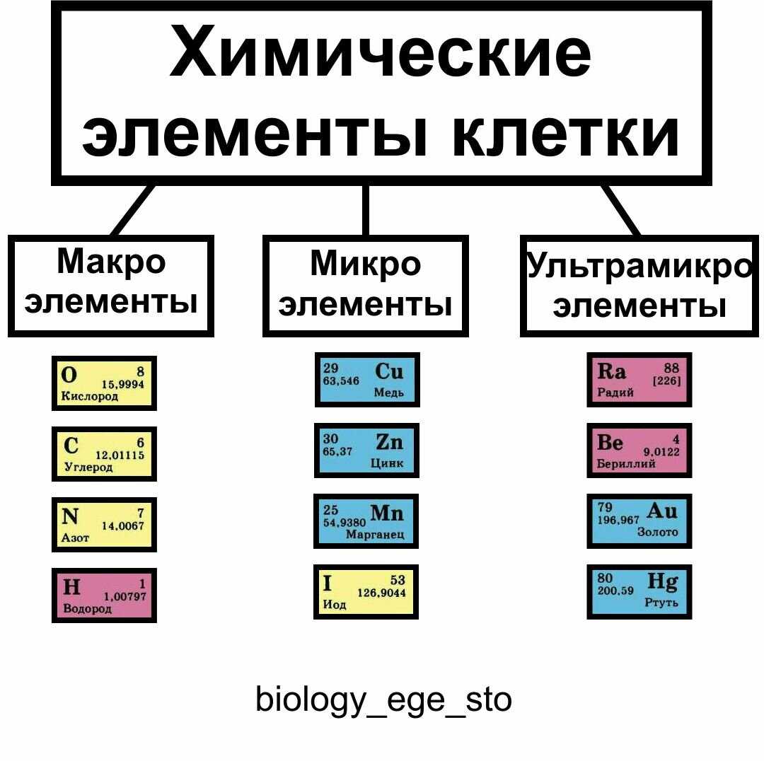 Группы элементов клетки. Классификация химических элементов химические элементы. Химический состав клетки схема химические элементы вещества. Какие химические элементы входят в состав клетки таблица.