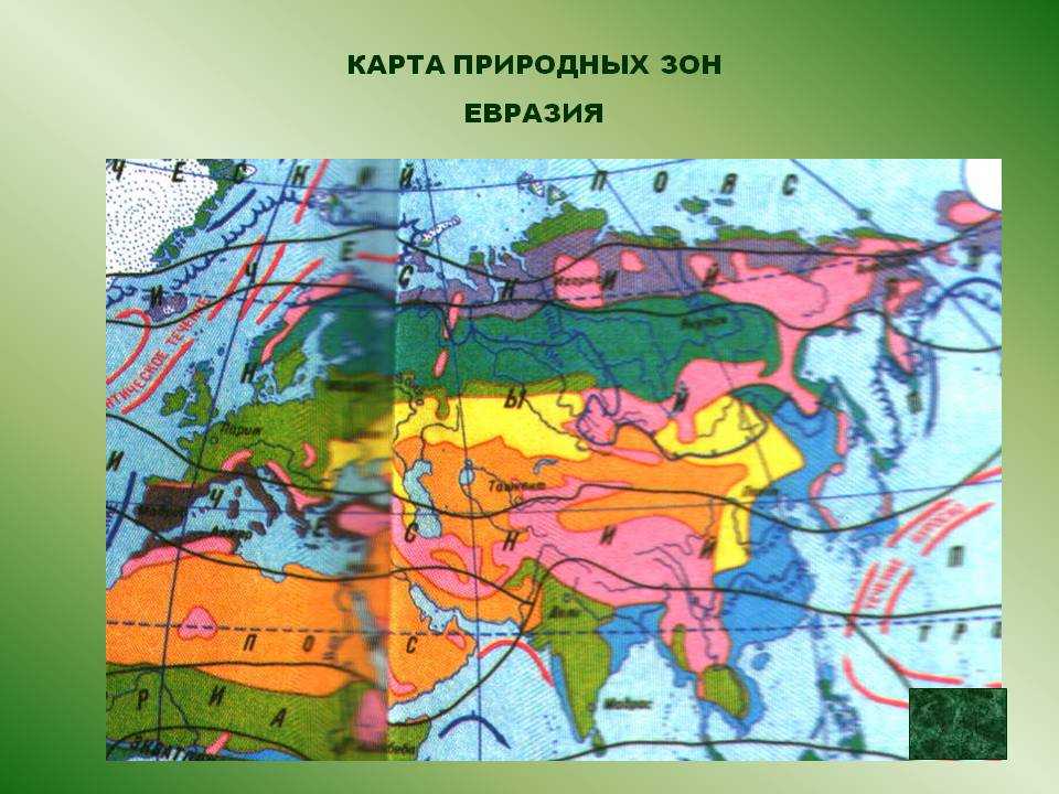 Природно климатические зоны евразии