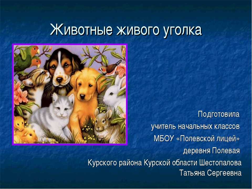 Животные живого уголка презентация, доклад