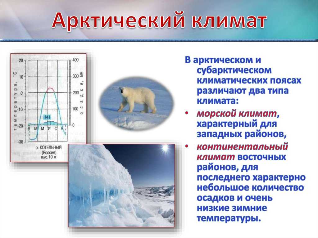 Кратко о климате россии (география 8 класса): характеристика и средние температуры